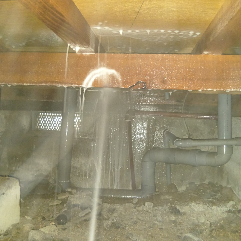 床下の木部にシロアリ駆除剤を散布