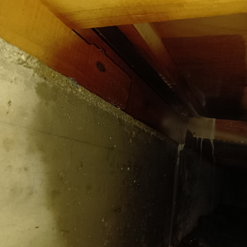 床下の基礎にシロアリ駆除剤を散布