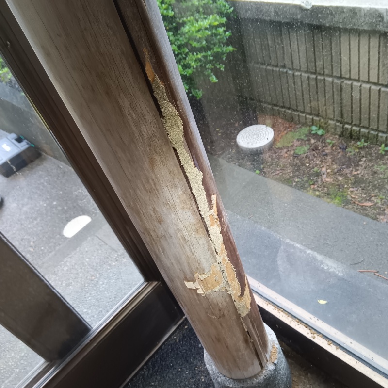 シロアリ駆除の施工事例（新潟県長岡市江陽）