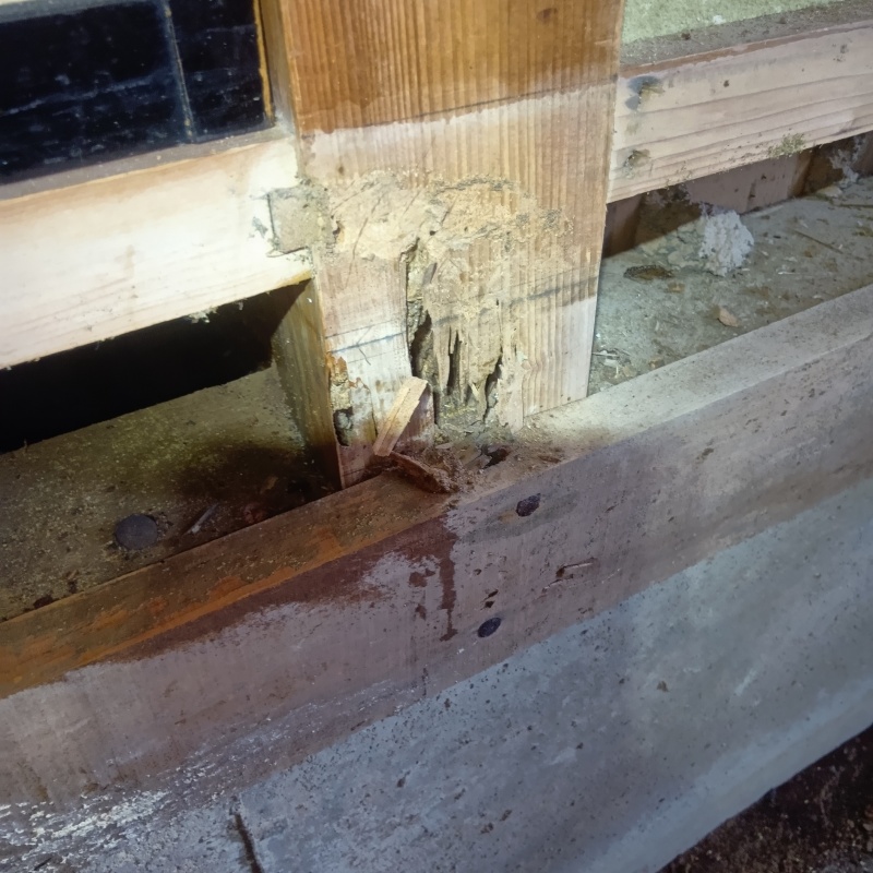 築年数50年のシロアリ駆除の施工事例（宮城県岩沼市栄町）