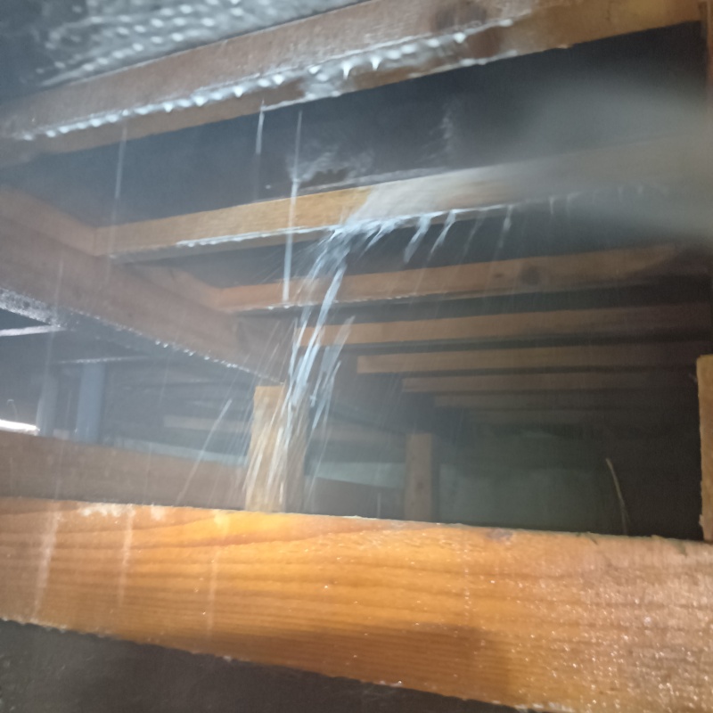 床下の木部にシロアリ駆除剤を散布