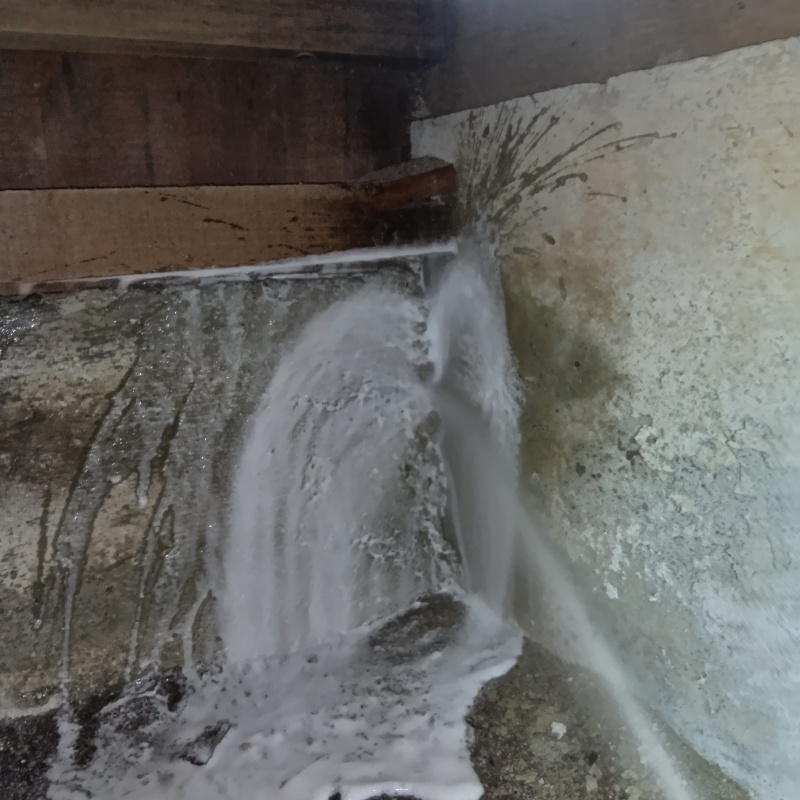 床下の基礎にシロアリ駆除剤を散布