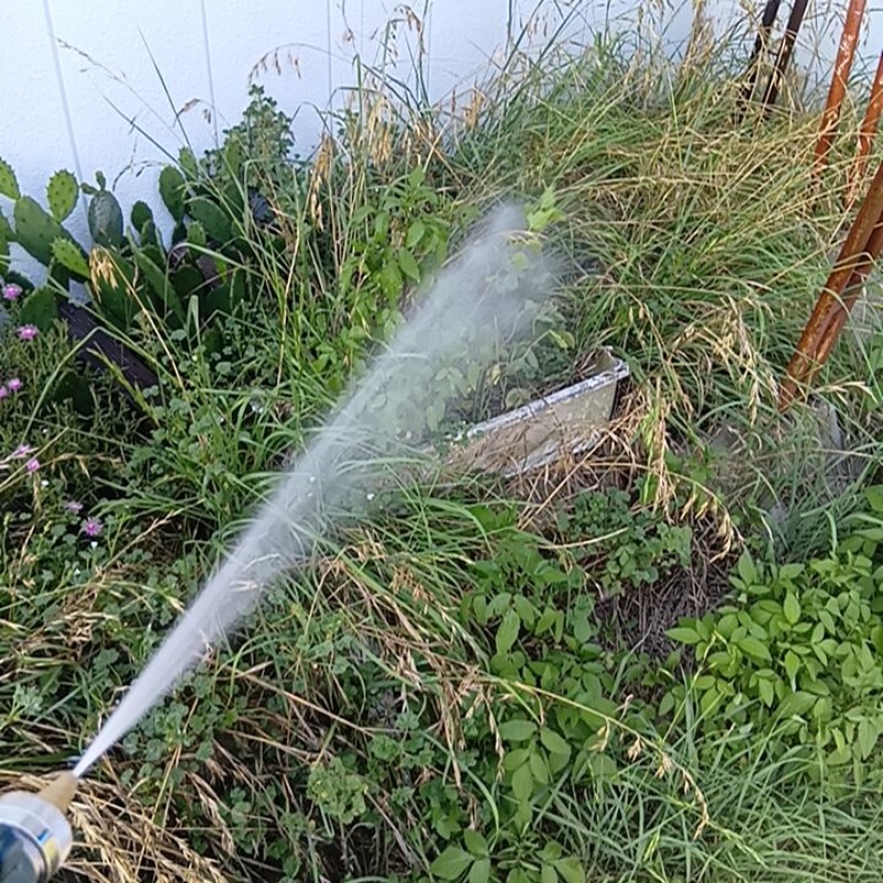 庭の草木にシロアリ駆除剤を散布