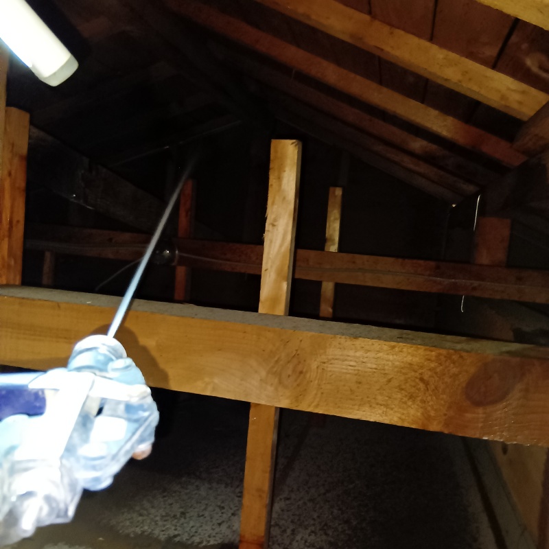 屋根裏の木部にシロアリ駆除剤を散布