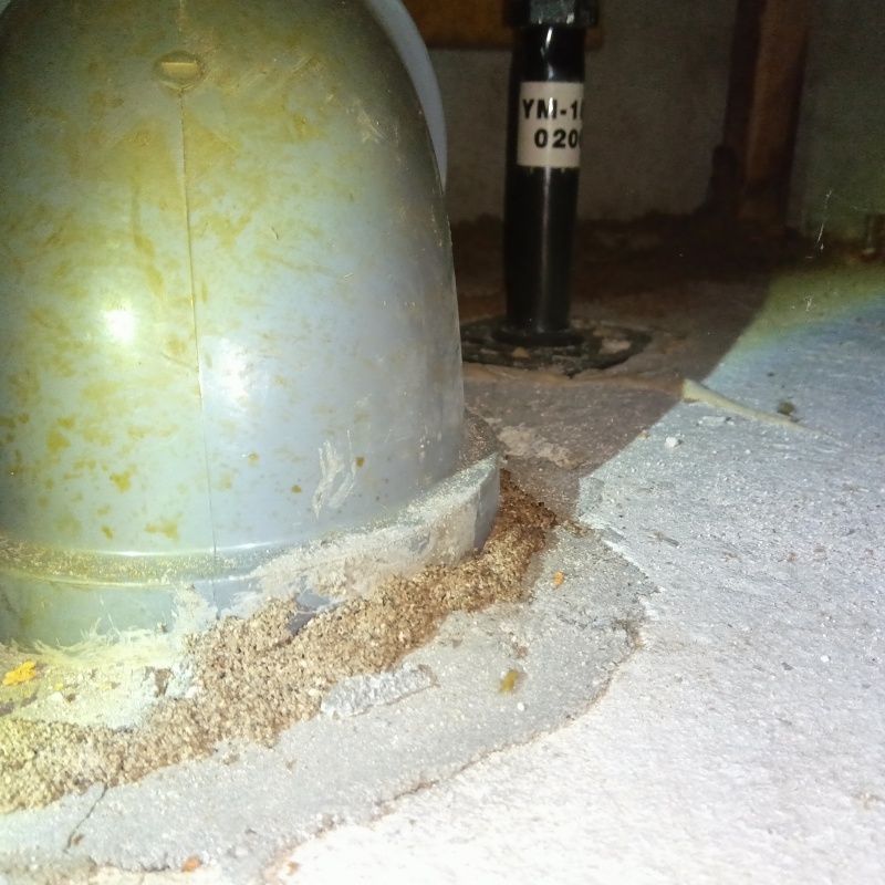 シロアリ駆除の施工事例（大阪府大阪市港区港晴）