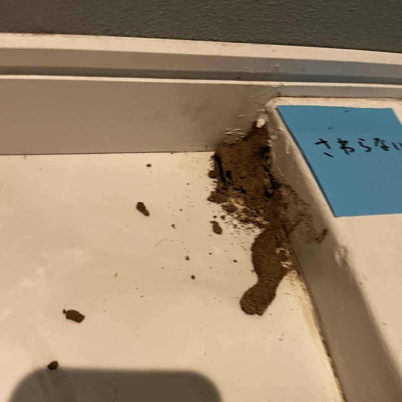 築年数43年のシロアリ駆除の施工事例（埼玉県越谷市）