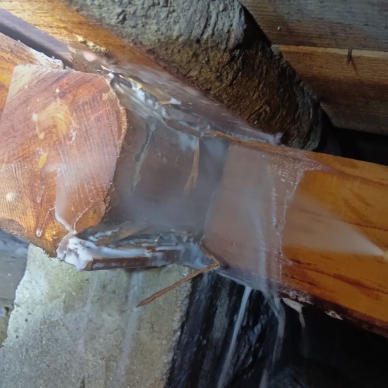 床下の木部にシロアリ駆除剤を散布