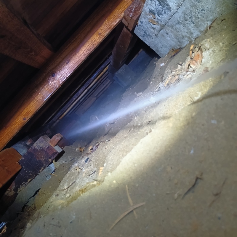 床下の地面にシロアリ駆除剤を散布