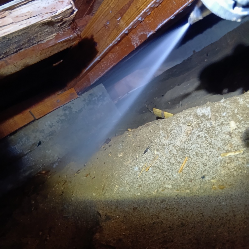 床下の基礎にシロアリ駆除剤を散布