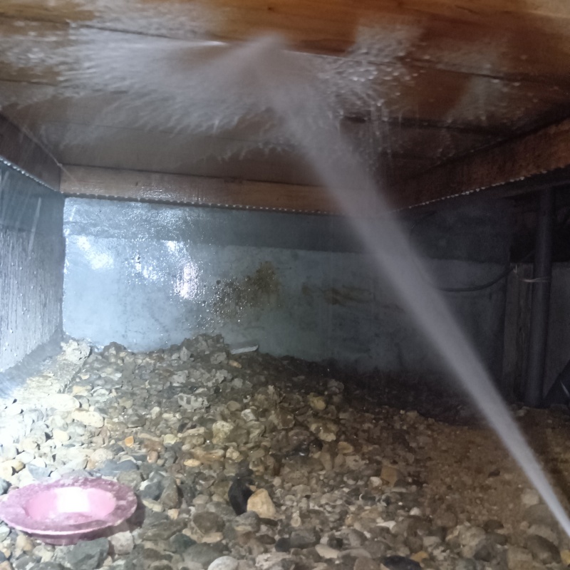 床下の木部にシロアリ駆除剤を散布