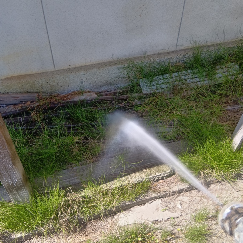 庭の雑草・土壌にシロアリ駆除剤を散布
