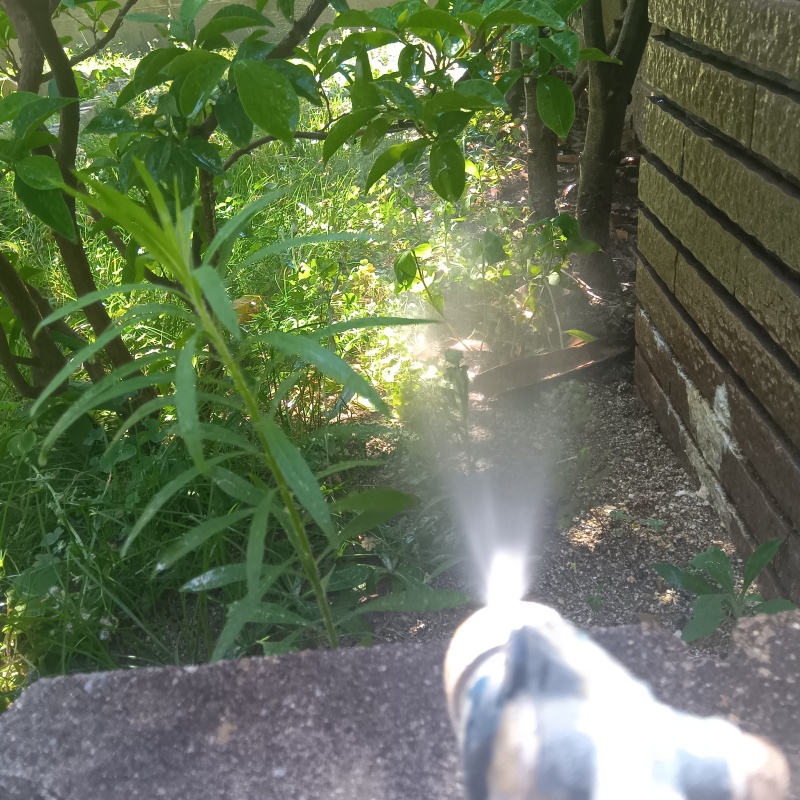 庭の草木にシロアリ駆除剤を散布