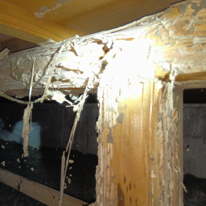 築年数44 年のシロアリ駆除の施工事例（三重県度会郡大紀町野添）