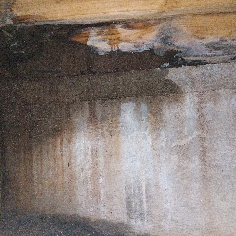 築年数35 年のシロアリ駆除の施工事例（長崎県佐世保市江迎町長坂）