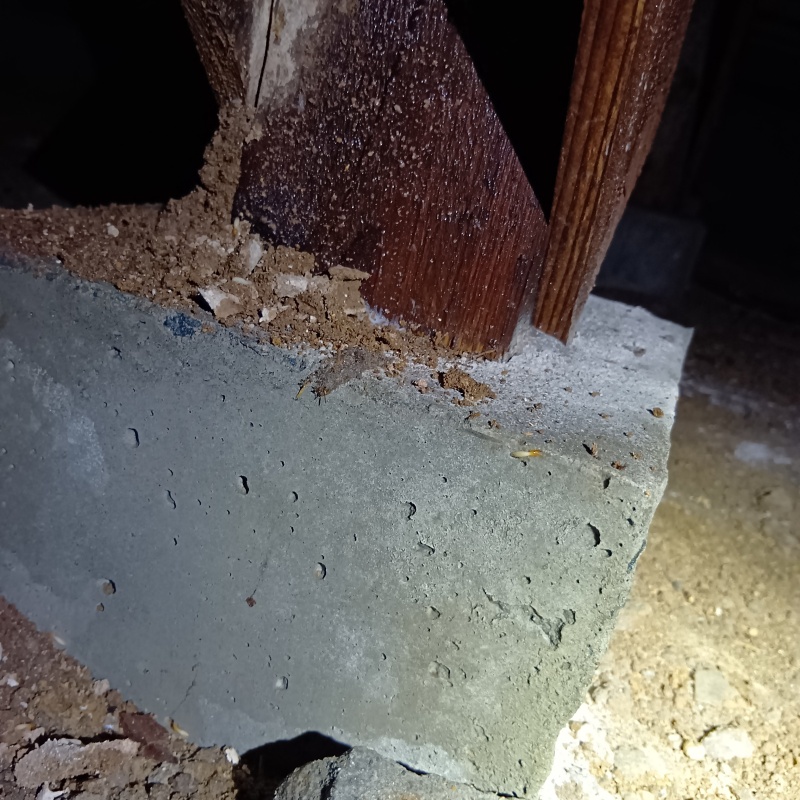 築年数36年のシロアリ駆除の施工事例（佐賀県三養基郡みやき町東尾）