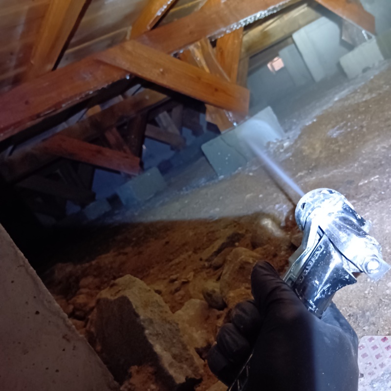 床下の基礎にシロアリ駆除剤を散布