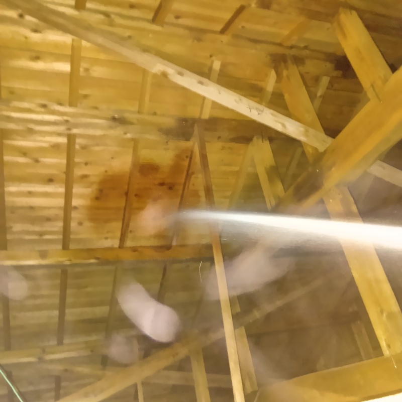 屋根裏の木部にシロアリ駆除剤を散布