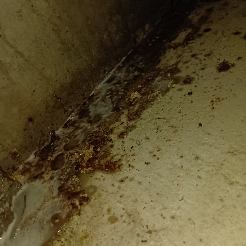 床下の地面にシロアリ駆除剤を散布