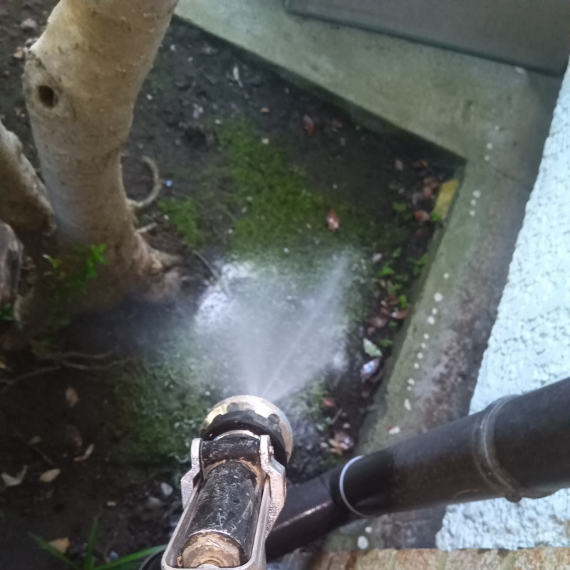 庭木を植えている土壌にシロアリ駆除剤を散布