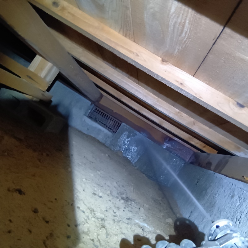 床下の基礎にシロアリ駆除剤を散布