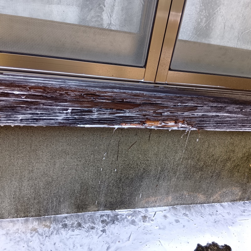 築年数48年のシロアリ駆除の施工事例（茨城県筑西市上西郷谷）