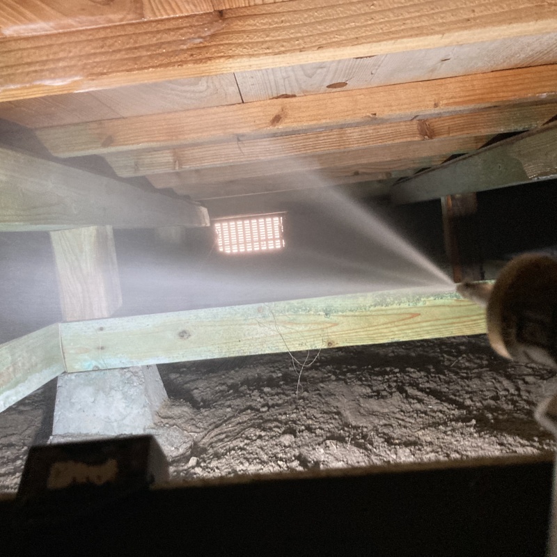 床下の木部にシロアリ駆除剤を散布
