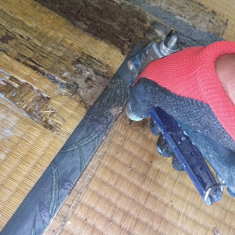 畳の中にシロアリ駆除剤を注入