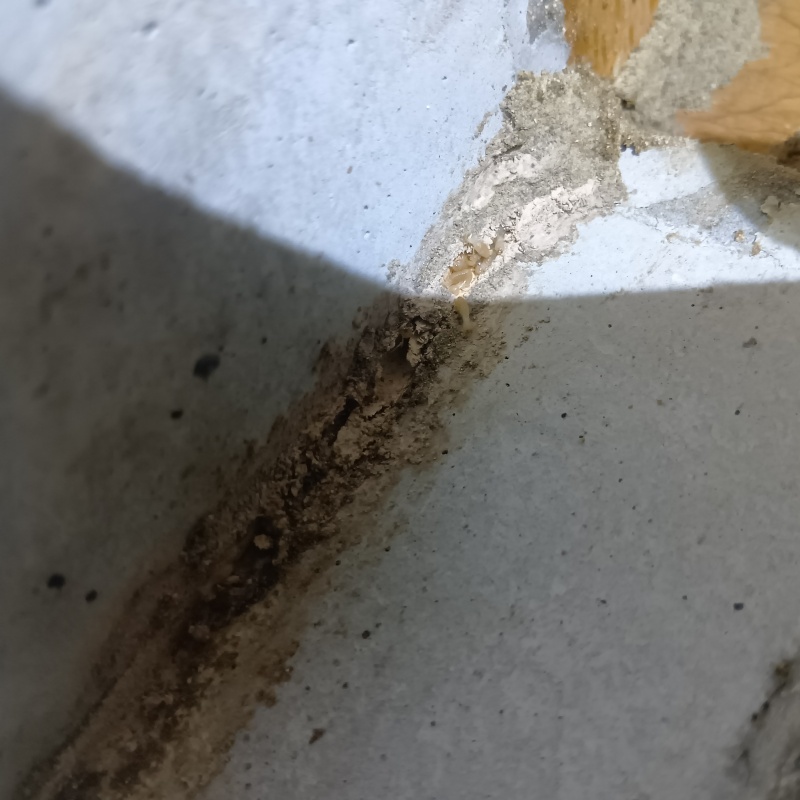 築年数26年のシロアリ駆除の施工事例（石川県金沢市福増町）