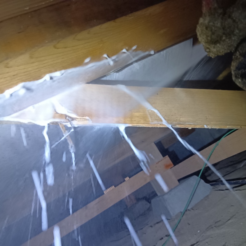 床下の木材にシロアリ駆除剤を散布