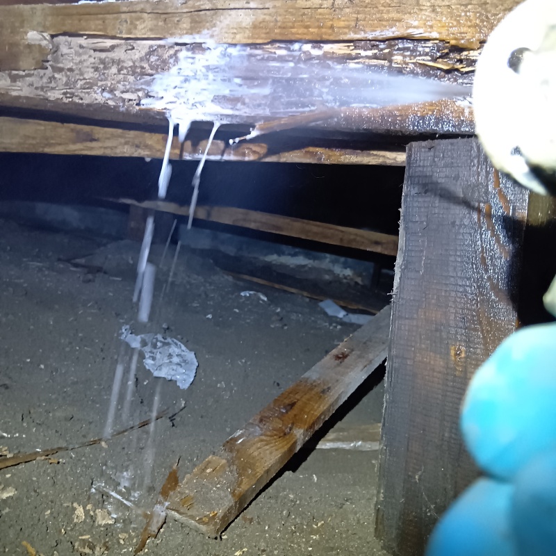 床下木材にシロアリ駆除剤を散布