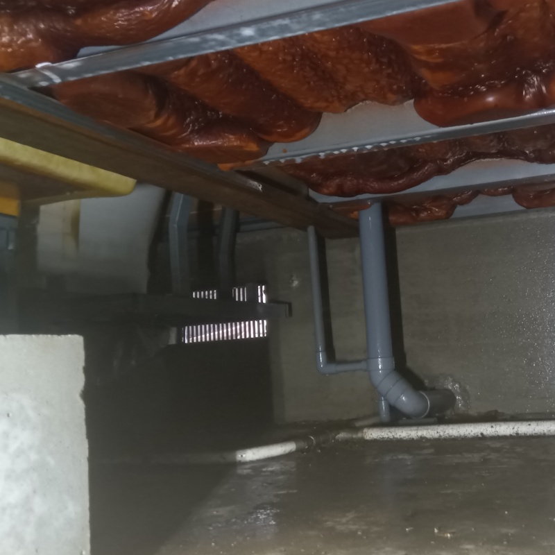 木部処理が完了した様子