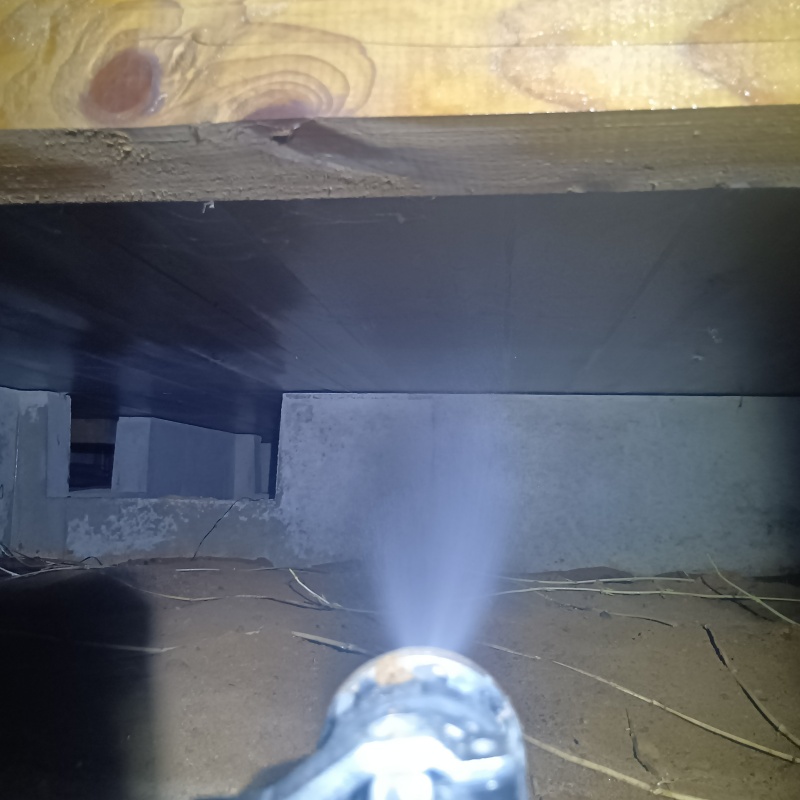 床下の木材にシロアリ駆除剤を散布