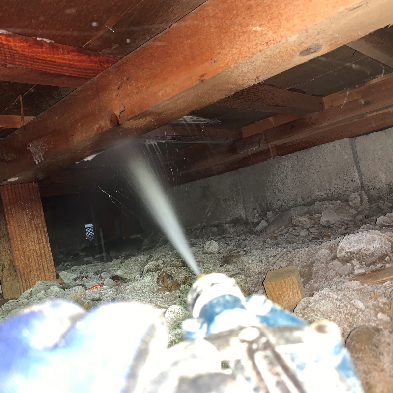 床下の木材にシロアリ駆除剤を散布