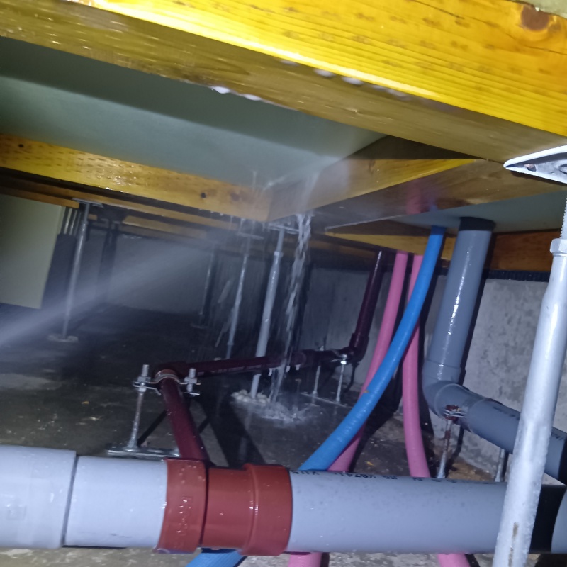 床下の木材に防蟻剤を散布