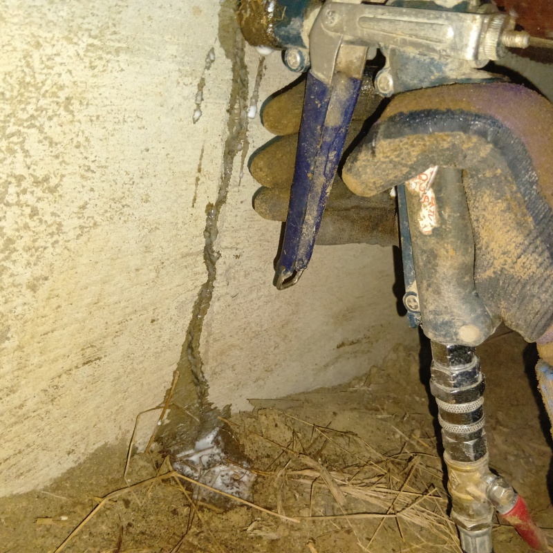 築年数50年のシロアリ駆除の施工事例（神奈川県鎌倉市梶原）