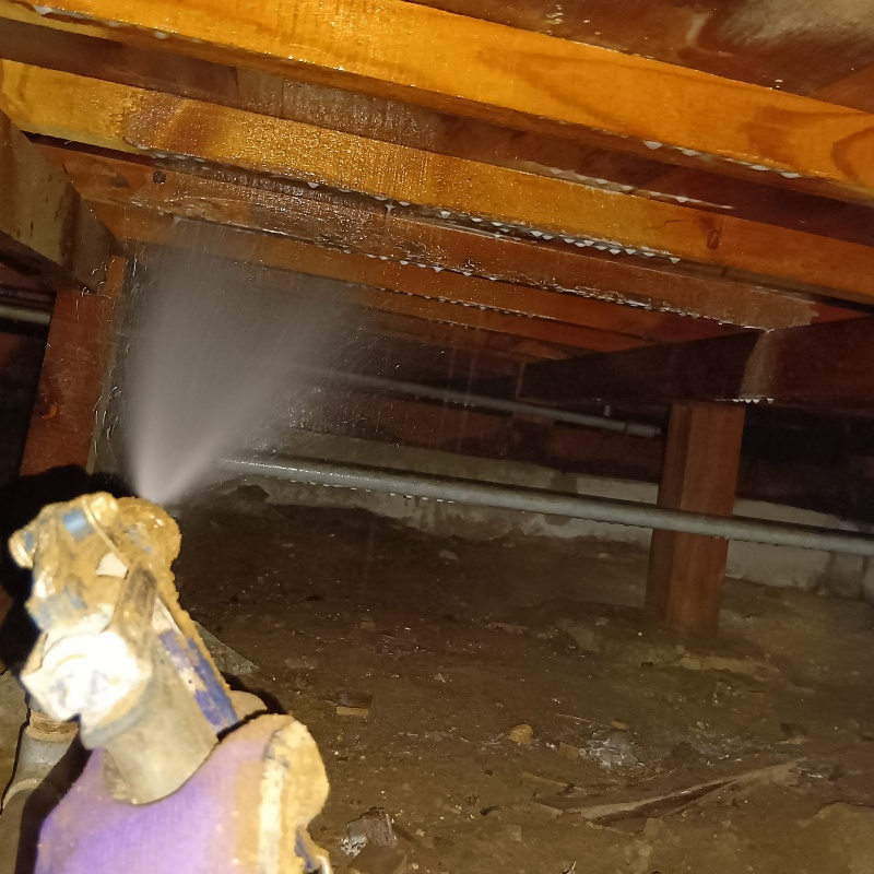 床下の木材にシロアリ駆除剤を散布