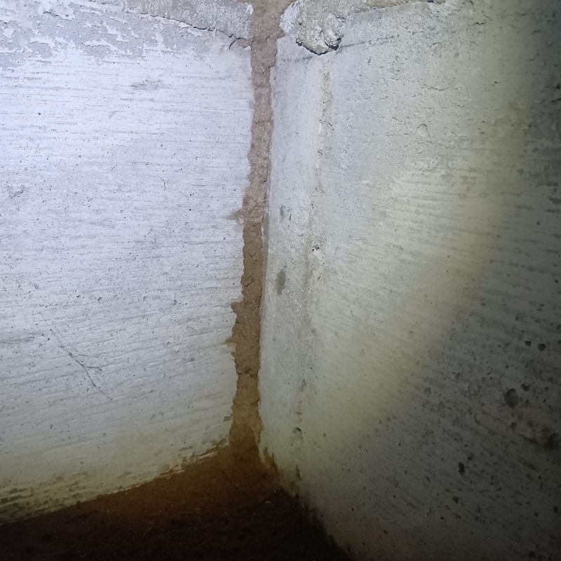 築年数50年のシロアリ駆除の施工事例（福井県福井市）