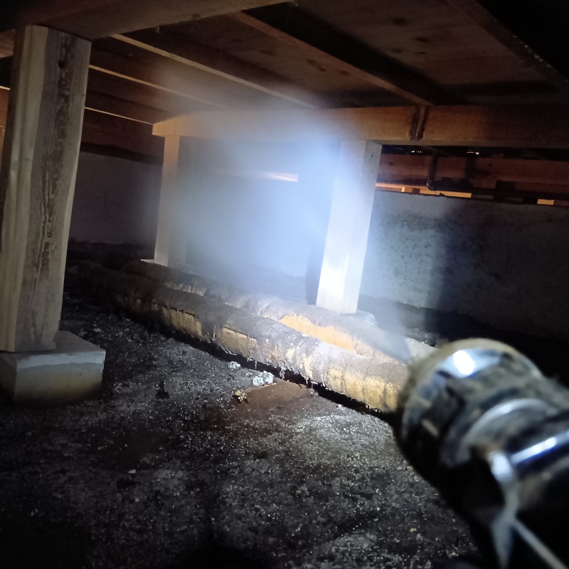 床下の木材にシロアリ駆除剤を散布