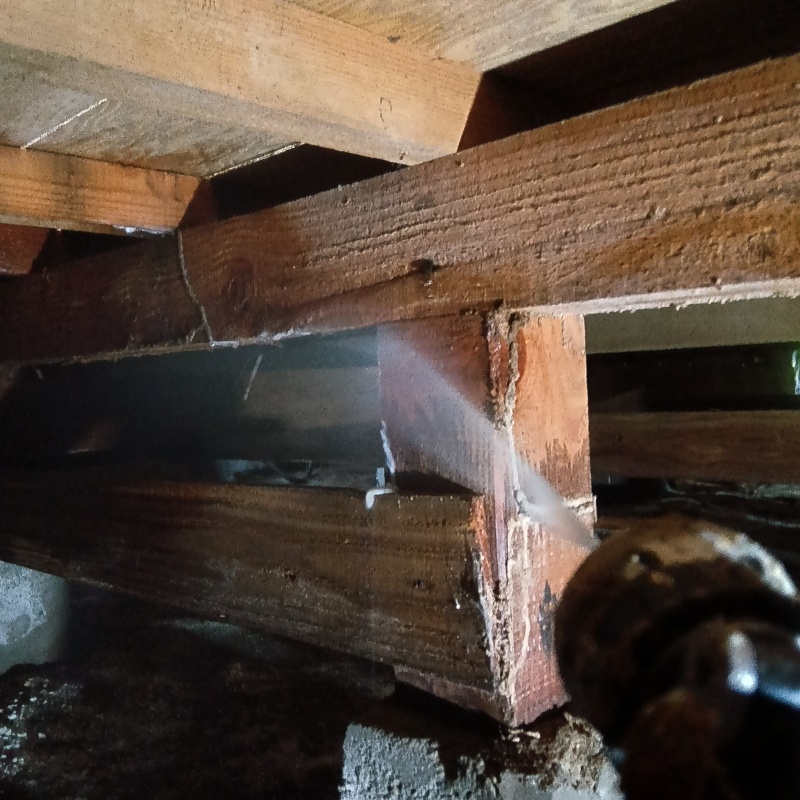 床下の木材にシロアリ駆除剤を散布