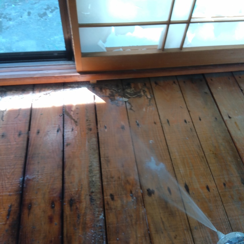 室内の床にシロアリ駆除剤を散布