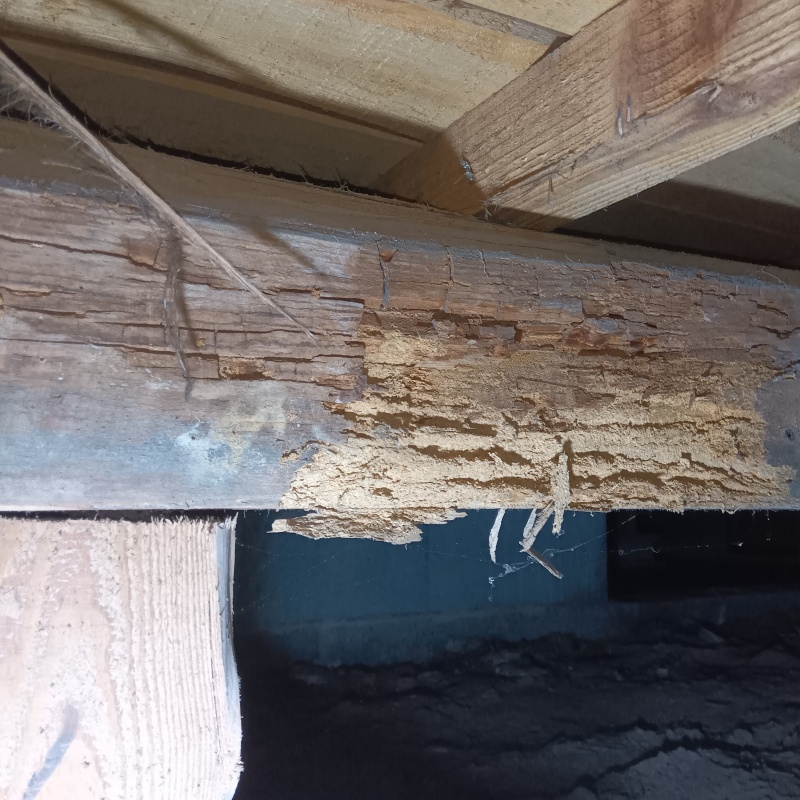 築年数76年のシロアリ駆除の施工事例（佐賀県三養基郡みやき町市武）