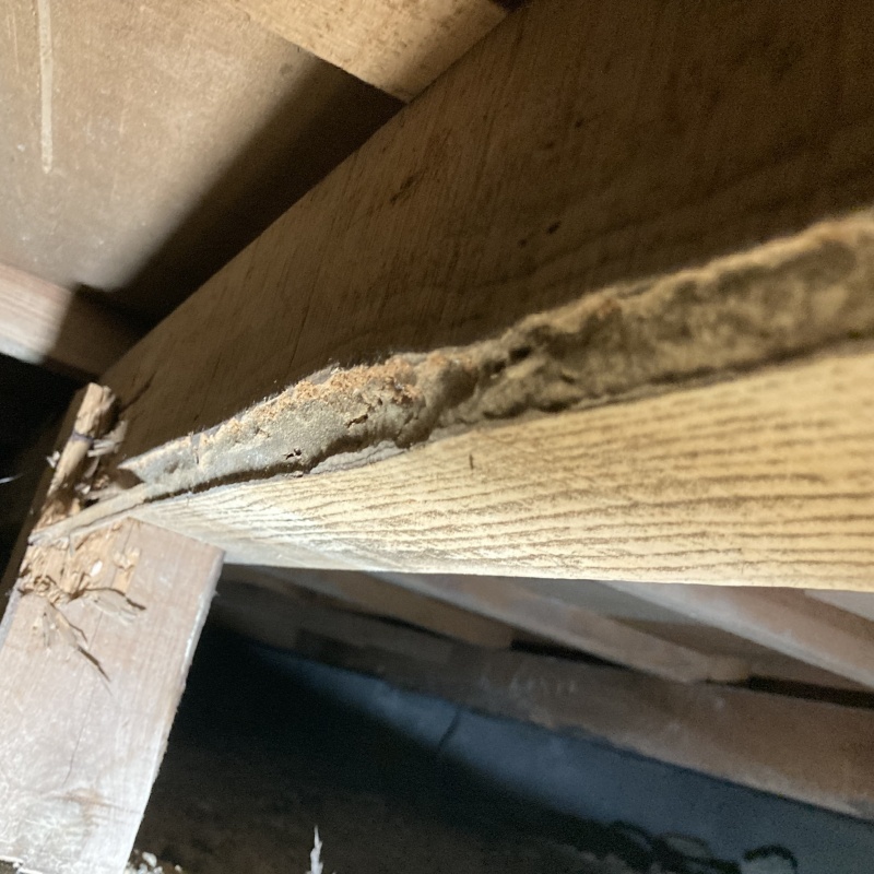 築年数60年のシロアリ駆除の施工事例（愛知県小牧市本庄）