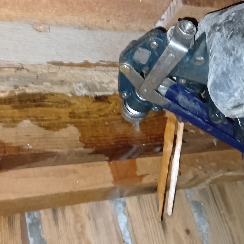 傷んだ木部にシロアリ駆除剤を注入