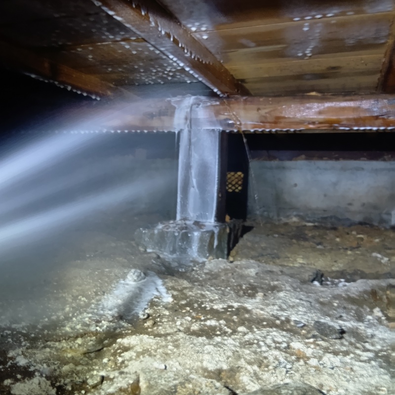 築年数60年のシロアリ駆除の施工事例（徳島県徳島市）