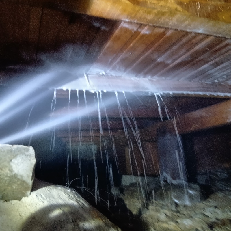 床下の木材にシロアリ駆除剤を散布