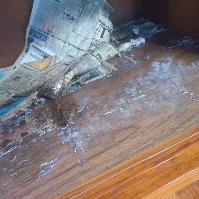 築年数31年のシロアリ駆除の施工事例（山口県周南市鹿野上）