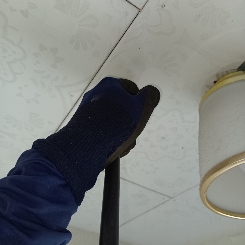 天井にシロアリ駆除剤を注入