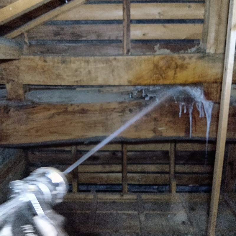 屋根裏にシロアリ駆除剤を散布