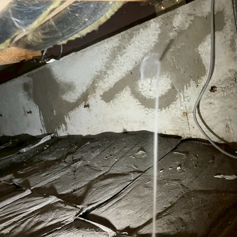 基礎にシロアリ駆除剤を散布