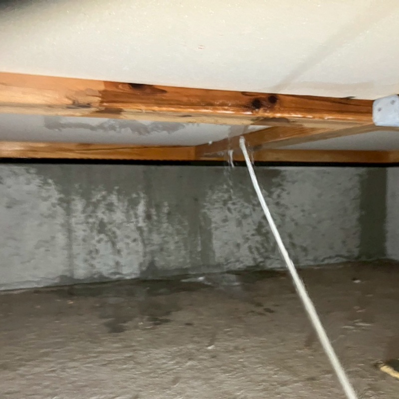 床下木材にシロアリ駆除剤を散布